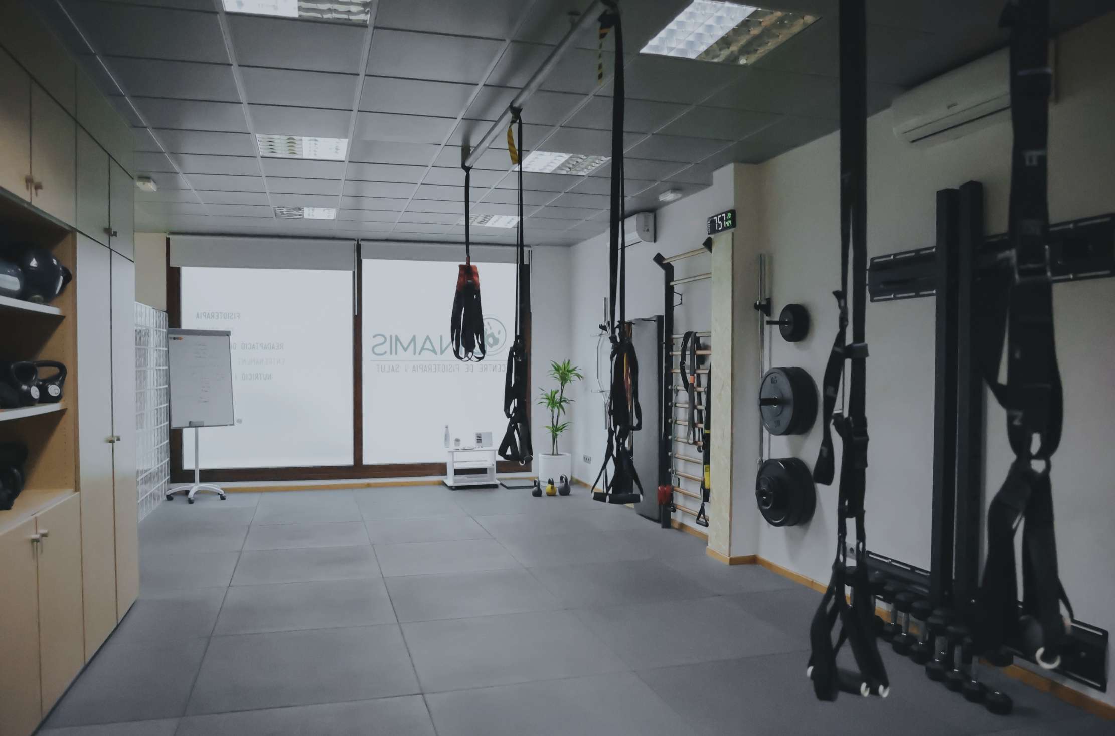 DINAMIS - Fisioteràpia i Salut